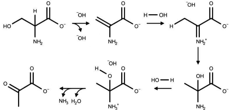 НО
I
NH₂2₂
о
ОН
OH
T
NH3 H₂O
NH₂2₂
ОН
NH₂
н OH
Н
HO-H
ОН
NH₂
ОН
-
NH₂
0