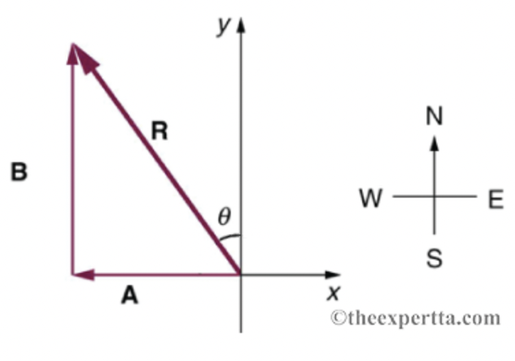 B
A
R
YA
0
X
W
N
S
E
Otheexpertta.com