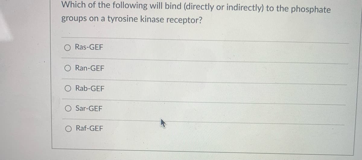 Which of the following will bind (directly or indirectly) to the phosphate
groups on a tyrosine kinase receptor?
Ras-GEF
Ran-GEF
Rab-GEF
Sar-GEF
O Raf-GEF
