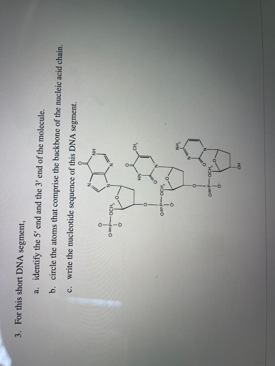 3. For this short DNA segment,
a. identify the 5' end and the 3' end of the molecule.
b. circle the atoms that comprise the backbone of the nucleic acid chain.
c. write the nucleotide sequence of this DNA segment.
HN
o=P-OCH,
CH,
NH
o=P-OCH,
HN
o=P-OCH,
но
