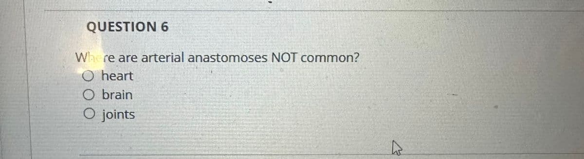 QUESTION 6
Where are arterial anastomoses NOT common?
O heart
O brain
O joints