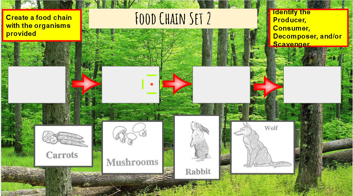 FOOD CHAIN SET 2
Identify the
Producer,
Consumer,
Create a food chain
with the organisms
provided
Decomposer, and/or
Scavenger.
Wolf
Carrots
Mushrooms
Rabbit
