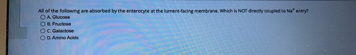 All of the following are absorbed by the enterocyte at the lument-facing membrane. Which is NOT directly coupled to Na* entry?
A. Glucose
OB. Fructose
C. Galactose
O D. Amino Acids