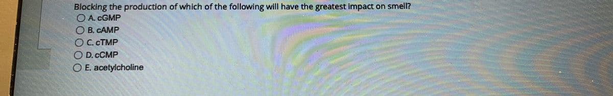 Blocking the production of which of the following will have the greatest impact on smell?
ⒸA. CGMP
OB. CAMP
OC. CTMP
D. COMP
O E. acetylcholine
EEEEEEE
201