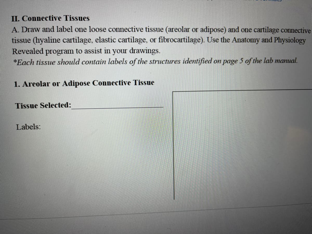 II. Connective Tissues
A. Draw and label one loose connective tissue (areolar or adipose) and one cartilage connective
tissue (hyaline cartilage, elastic cartilage, or fibrocartilage). Use the Anatomy and Physiology
Revealed program to assist in your drawings.
*Each tissue should contain labels of the structures identified on page 5 of the lab manual.
1. Areolar or Adipose Connective Tissue
Tissue Selected:
Labels:
