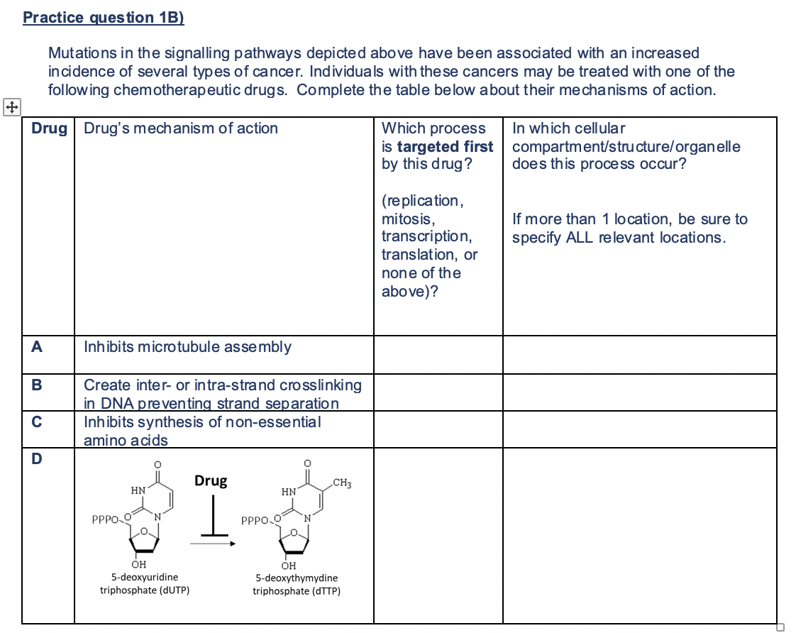 Practice question 1B)
Mutations in the signalling pathways depicted above have been associated with an increased
incidence of several types of cancer. Individuals with the se cancers may be treated with one of the
following chemotherapeutic drugs. Complete the table below about their me chanisms of action.
In which cellular
Which process
is targeted first compartment/structure/organelle
by this drug?
Drug
Drug's mechanism of action
does this proce ss occur?
(replica tion,
mitosis,
transcription,
translation, or
If more than 1 location, be sure to
specify ALL relevant locations.
none of the
above)?
A
Inhibits microtubule assembly
Create inter- or intra-strand crosslinking
in DNA preventing strand separation
Inhibits synthesis of non-essential
amino acids
Drug
CH3
HN
HN
PPPO O
N.
PPPO O
OH
OH
5-deoxythymydine
triphosphate (DTTP)
5-deoxyuridine
triphosphate (DUTP)
