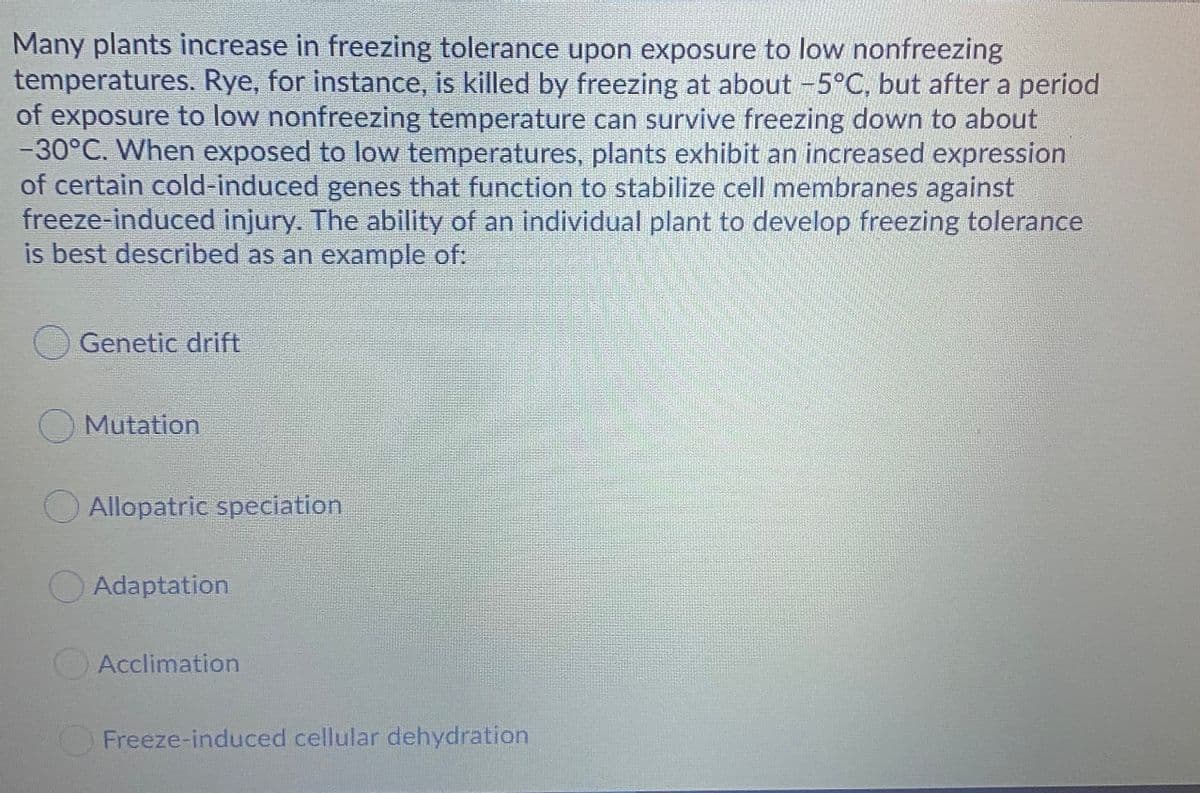 Many plants increase in freezing tolerance upon exposure to low nonfreezing
temperatures. Rye, for instance, is killed by freezing at about -5°C, but after a period
of exposure to low nonfreezing temperature can survive freezing down to about
-30°C. When exposed to low temperatures, plants exhibit an increased expression
of certain cold-induced genes that function to stabilize cell membranes against
freeze-induced injury. The ability of an individual plant to develop freezing tolerance
is best described as an example of:
Genetic drift
OMutation
O Allopatric speciation
OAdaptation
Acclimation
Freeze-induced cellular dehydration
