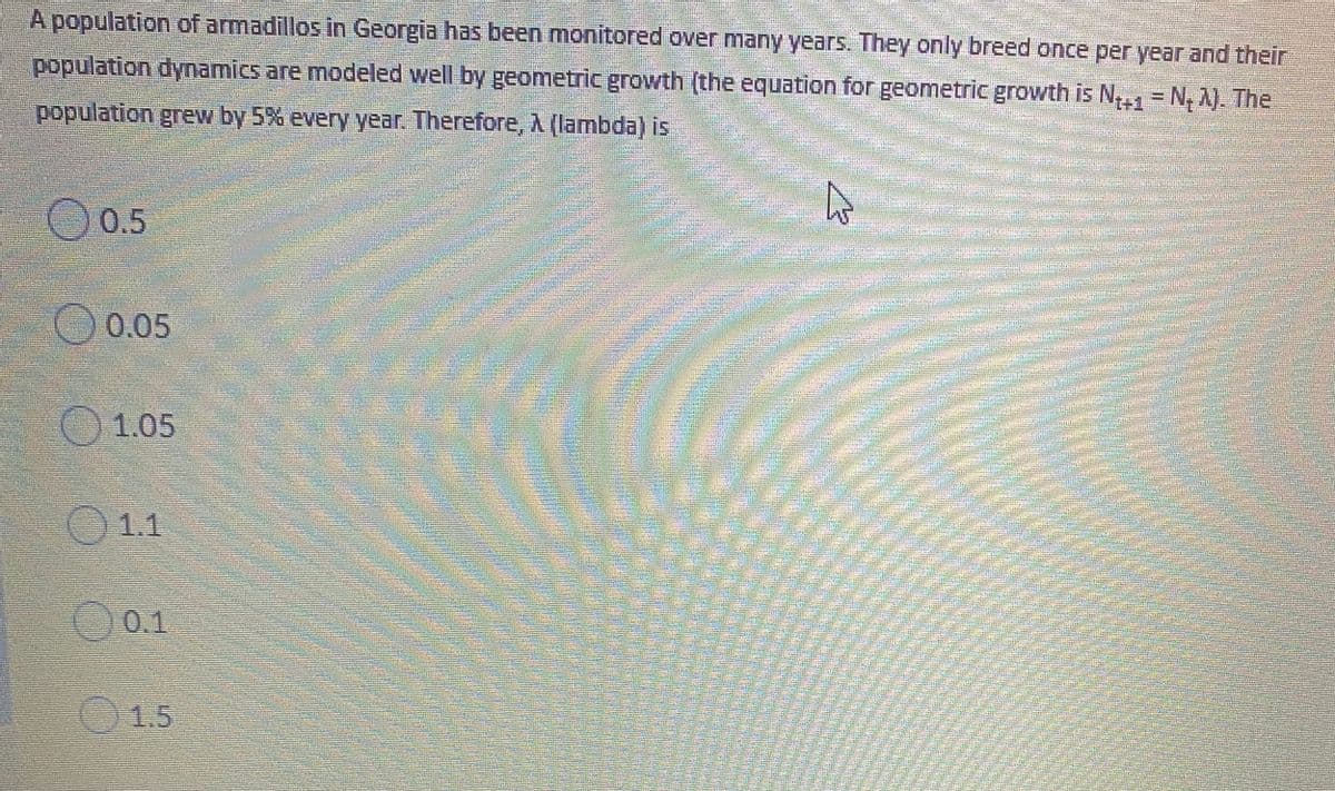 A population of armadillos in Georgia has been monitored over many years. They only breed once per year and their
population dynamics are modeled well by geometric growth (the equation for geometric growth is N - N, A). The
population grew by 5% every year. Therefore, A (lambda) is
O 0.5
0.05
1.05
O1.1
O0.1
1.5
