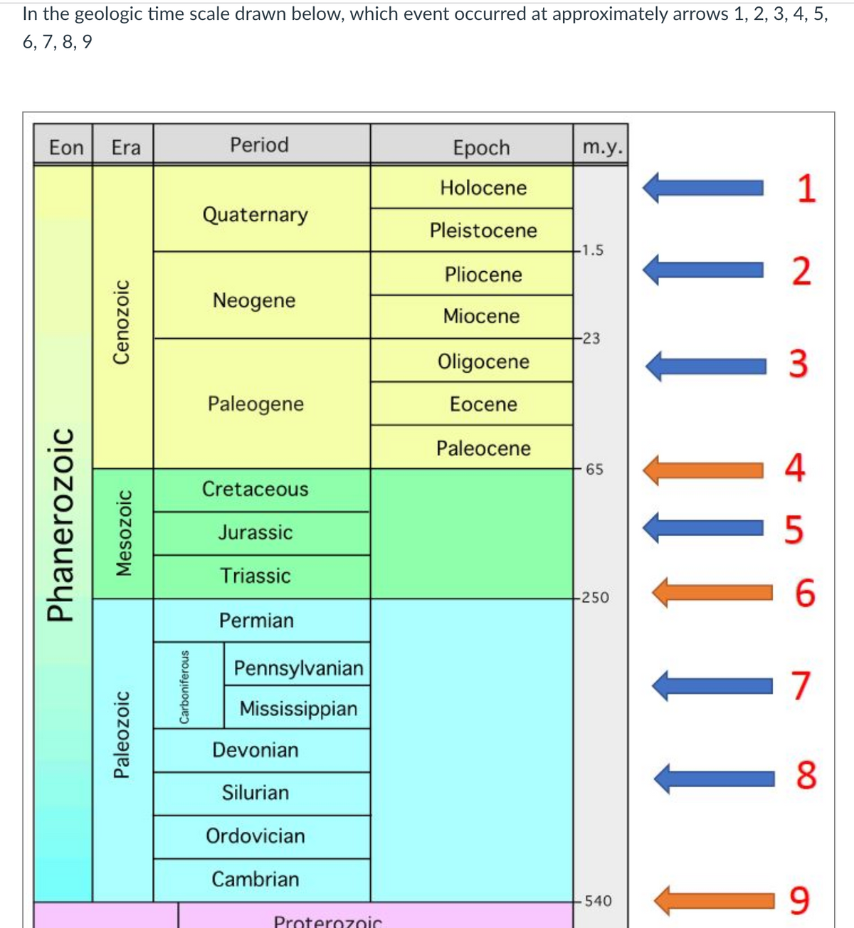 In the geologic time scale drawn below, which event occurred at approximately arrows 1, 2, 3, 4, 5,
6, 7, 8, 9
Eon
Era
Period
Ерoch
m.y.
Holocene
1
Quaternary
Pleistocene
-1.5
Pliocene
2
Neogene
Miocene
-23
Oligocene
Paleogene
Еоcene
Paleocene
4
65
Cretaceous
Jurassic
5
Triassic
-250
Permian
Pennsylvanian
7
Mississippian
Devonian
Silurian
Ordovician
Cambrian
540
Proterozoic
Phanerozoic
Paleozoic
Mesozoic
Cenozoic
Carboniferous
||! |||||
3.
