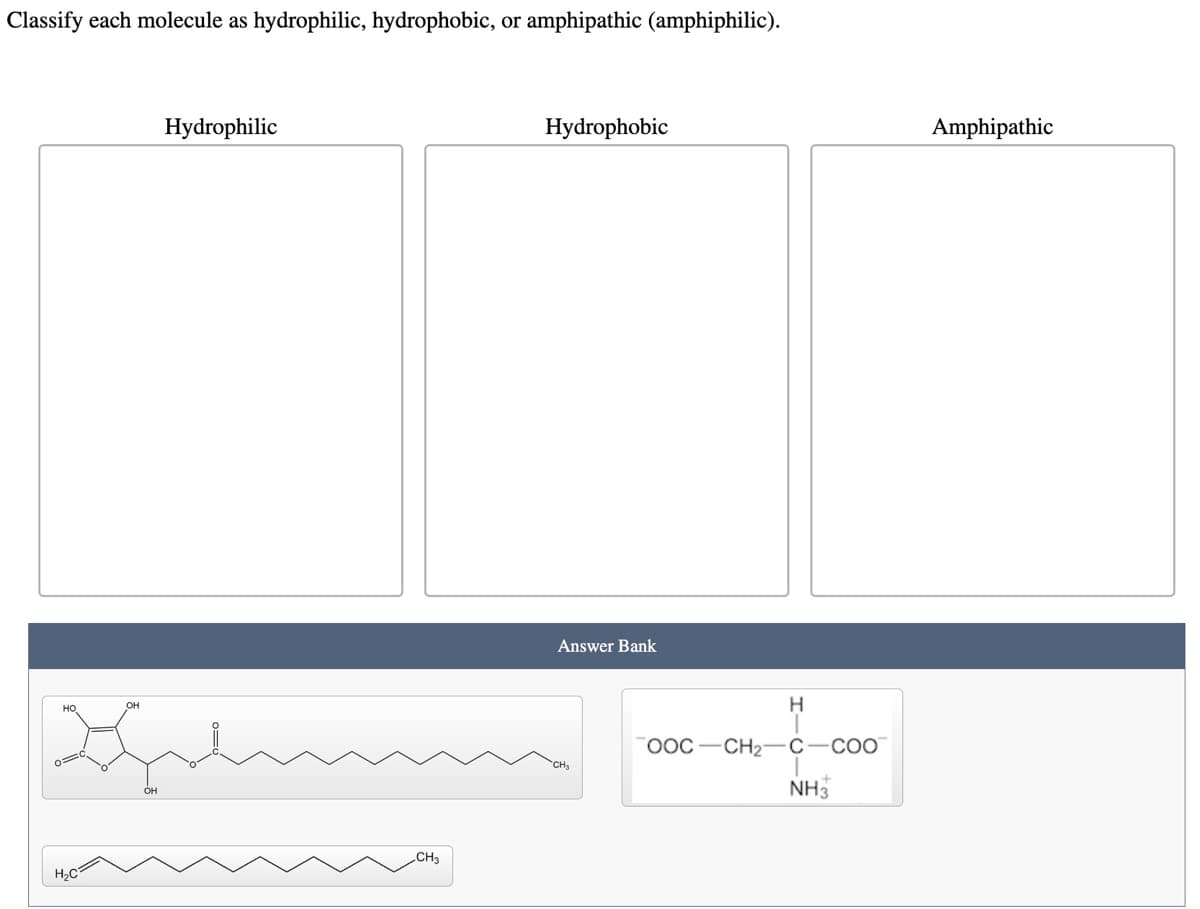 Classify each molecule as hydrophilic, hydrophobic, or amphipathic (amphiphilic).
بہلا
H₂C
OH
Hydrophilic
OH
CH3
Hydrophobic
Answer Bank
CH₂
H
OOC-CH₂-C-COO
NH3
Amphipathic