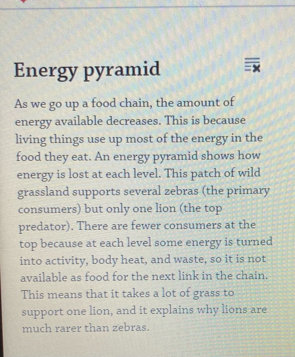 Energy pyramid
As we go up a food chain, the amount of
energy available decreases. This is because
living things use up most of the energy in the
food they eat. An energy pyramid shows how
energy is lost at each level. This patch of wild
grassland supports several zebras (the primary
consumers) but only one lion (the top
predator). There are fewer consumers at the
top because at each level some energy is turned
into activity, body heat, and waste, so it is not
available as food for the next link in the chain.
grass to
support one lion, and it explains why lions are
This means that it takes a lot of
much rarer than zebras.
