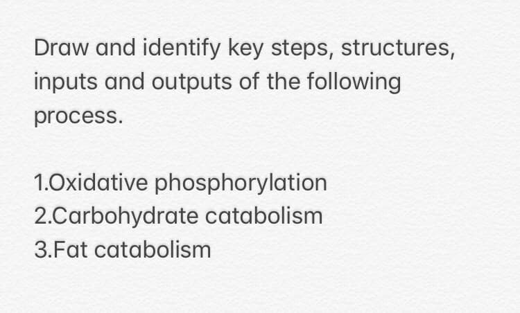 Draw and identify key steps, structures,
inputs and outputs of the following
process.
1.0xidative phosphorylation
2.Carbohydrate catabolism
3.Fat catabolism
