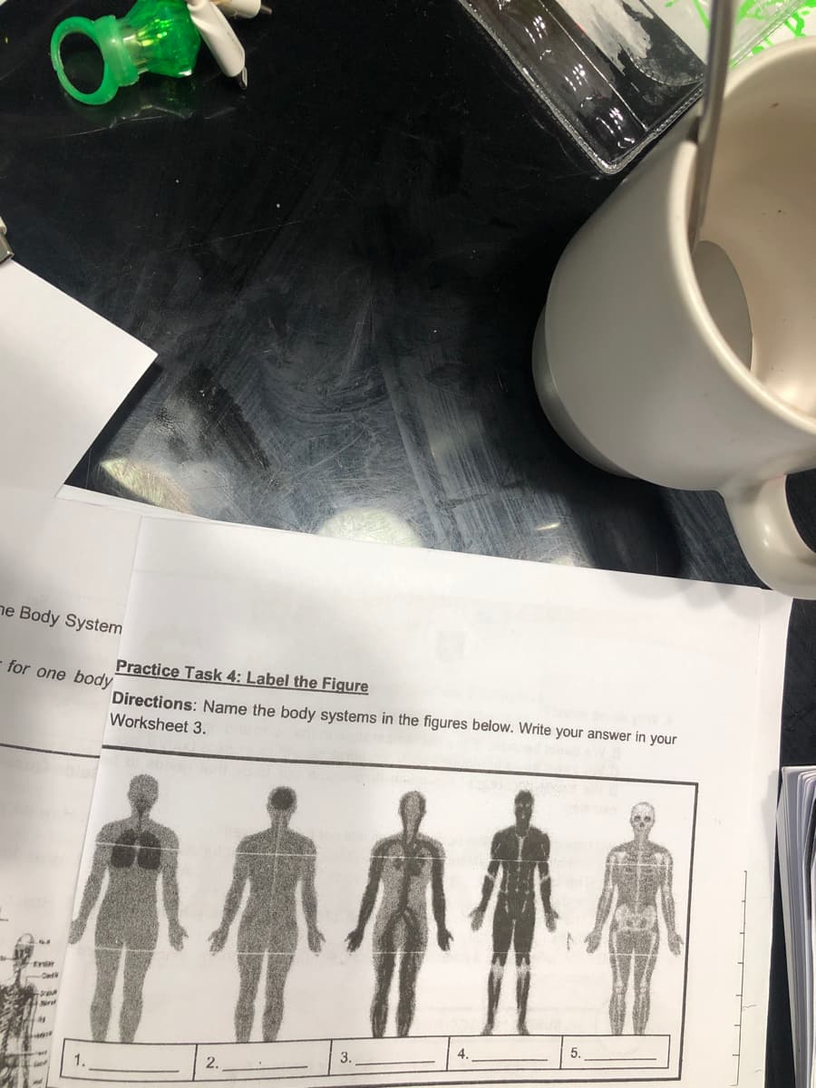 ne Body System
Practice Task 4: Label the Figure
for one body
Directions: Name the body systems in the figures below. Write your answer in your
Worksheet 3.
5.
4.
3.
2.
