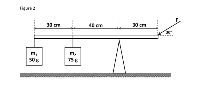 Figure 2
30 cm
30 сm
40 cm
30°
m1
50 g
m2
75 g
