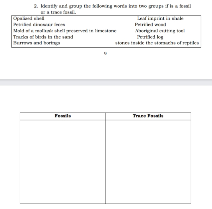 2. Identify and group the following words into two groups if is a fossil
or a trace fossil.
Opalized shell
Leaf imprint in shale
Petrified dinosaur feces
Petrified wood
Mold of a mollusk shell preserved in limestone
|Tracks of birds in the sand
Burrows and borings
Aboriginal cutting tool
Petrified log
stones inside the stomachs of reptiles
Fossils
Trace Fossils
