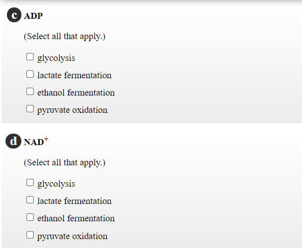 C ADP
(Select all that apply.)
O glycolysis
O lactate fermentation
ethanol fermentation
pyruvate oxidation
d NAD+
(Select all that apply.)
O glycolysis
O lactate fermentation
ethanol fermentation
pyruvate oxidation
