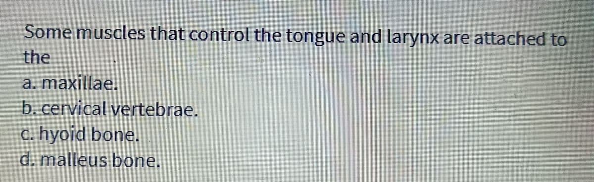 Some muscles that control the tongue and larynx are attached to
the
a. maxillae.
b. cervical vertebrae.
c. hyoid bone.
d. malleus bone.