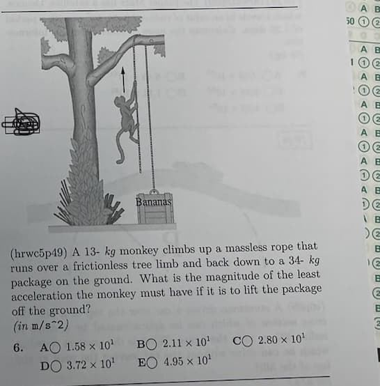 On
AO 1.58 x 10¹
DO 3.72 x 10¹
Bananas
(hrwc5p49) A 13- kg monkey climbs up a massless rope that
runs over a frictionless tree limb and back down to a 34- kg
package on the ground. What is the magnitude of the least
acceleration the monkey must have if it is to lift the package
off the ground?
(in m/s^2)
6.
BO 2.11 x 10¹
EO 4.95 x 10¹
CO 2.80 x 10¹
DA B
50 2
A B
102
ΑΒ
02
A B
OE
ΑΕ
12
A E
DE
A B
2
B
2
B
(2
B
(1₂) P
2