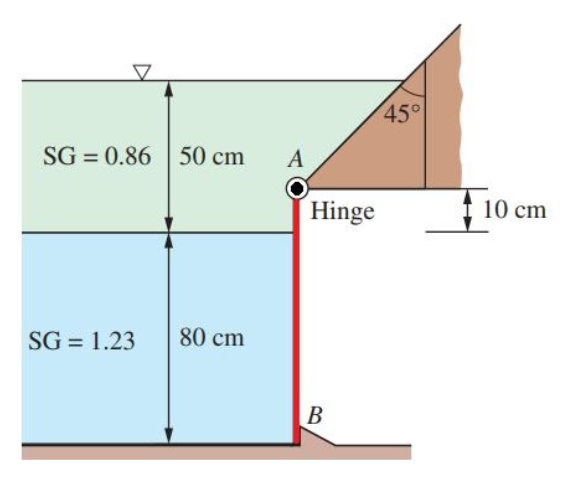 45°
SG = 0.86 50 cm
A
Hinge
f 10 cm
SG = 1.23
80 cm
В
