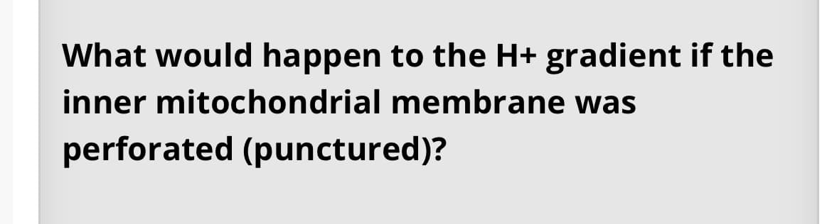 **Question:**
What would happen to the H+ gradient if the inner mitochondrial membrane was perforated (punctured)?

**Discussion:**
The inner mitochondrial membrane is crucial for maintaining the proton (H+) gradient that drives ATP synthesis during cellular respiration. If this membrane were perforated, it would disrupt the proton gradient established by the electron transport chain. Normally, protons are pumped from the mitochondrial matrix into the intermembrane space, creating a higher concentration of protons outside the inner membrane compared to the inside. This gradient represents potential energy used by ATP synthase to produce ATP.

A perforation in the inner mitochondrial membrane would allow protons to leak back into the mitochondrial matrix, bypassing ATP synthase. This would lead to a collapse of the proton gradient, severely affecting ATP production and potentially leading to cellular energy deficits.