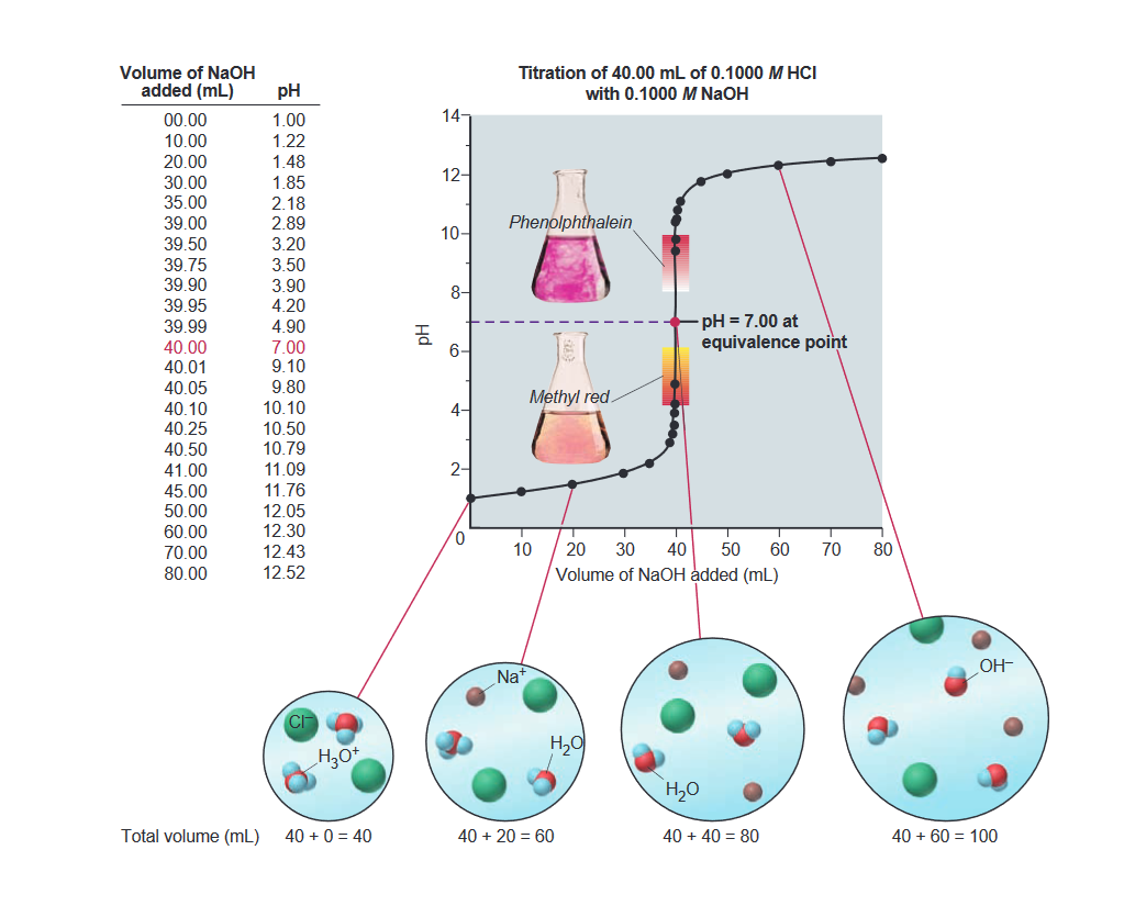 Volume of NaOH
added (mL)
Titration of 40.00 mL of 0.1000 M HCI
pH
with 0.1000 M NaOH
147
00.00
10.00
20.00
1.00
1.22
1.48
1.85
2.18
2.89
12-
30.00
35.00
39.00
Phenolphthalein
10-
39.50
3.20
39.75
39.90
39.95
39.99
3.50
3.90
4.20
8-
4.90
pH = 7.00 at
equivalence point
40.00
40.01
7.00
9.10
9.80
10.10
10.50
10.79
6-
40.05
Methyl red.
4-
40.10
40.25
40.50
2-
11.09
11.76
12.05
12.30
12.43
41.00
45.00
50.00
60.00
70.00
10
20
30
40
50
60
70
80
80.00
12.52
Volume of NaOH added (mL)
OH-
Na
CI
H20
Total volume (mL)
40 + 0 = 40
40 + 20 = 60
40 + 40 = 80
40 + 60 = 100
