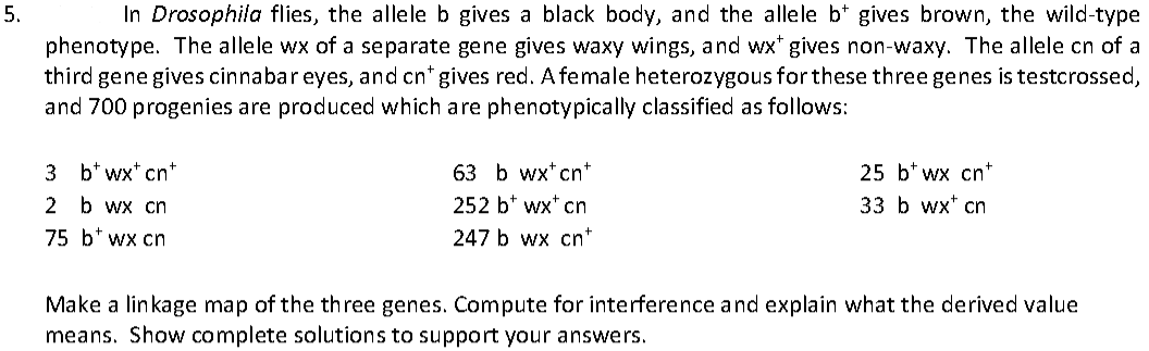 5.
In Drosophila flies, the allele b gives a black body, and the allele b* gives brown, the wild-type
phenotype. The allele wx of a separate gene gives waxy wings, and wx" gives non-waxy. The allele cn of a
third gene gives cinnabareyes, and cn* gives red. Afemale heterozygous for these three genes is testcrossed,
and 700 progenies are produced which are phenotypically classified as follows:
3
b* wx* cn*
63 b wx*cn+
25 b* wx cn*
2 b wx cn
252 b* wx* cn
33 b wx* cn
75 b* wx cn
247 b wx cn*
Make a linkage map of the three genes. Compute for interference and explain what the derived value
means. Show complete solutions to support your answers.
