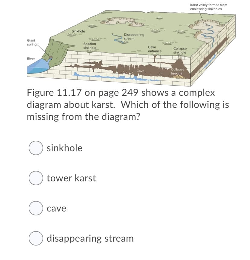 Karst valley formed from
coalescing sinkholes
se
Sinkhole
Disappearing
stream
Giant
spring
Solution
sinkhole
Cave
Collapse
sinkhole
entrance
River
Collapse
breccia
Cave
Figure 11.17 on page 249 shows a complex
diagram about karst. Which of the following is
missing from the diagram?
O sinkhole
O tower karst
O cave
disappearing stream
