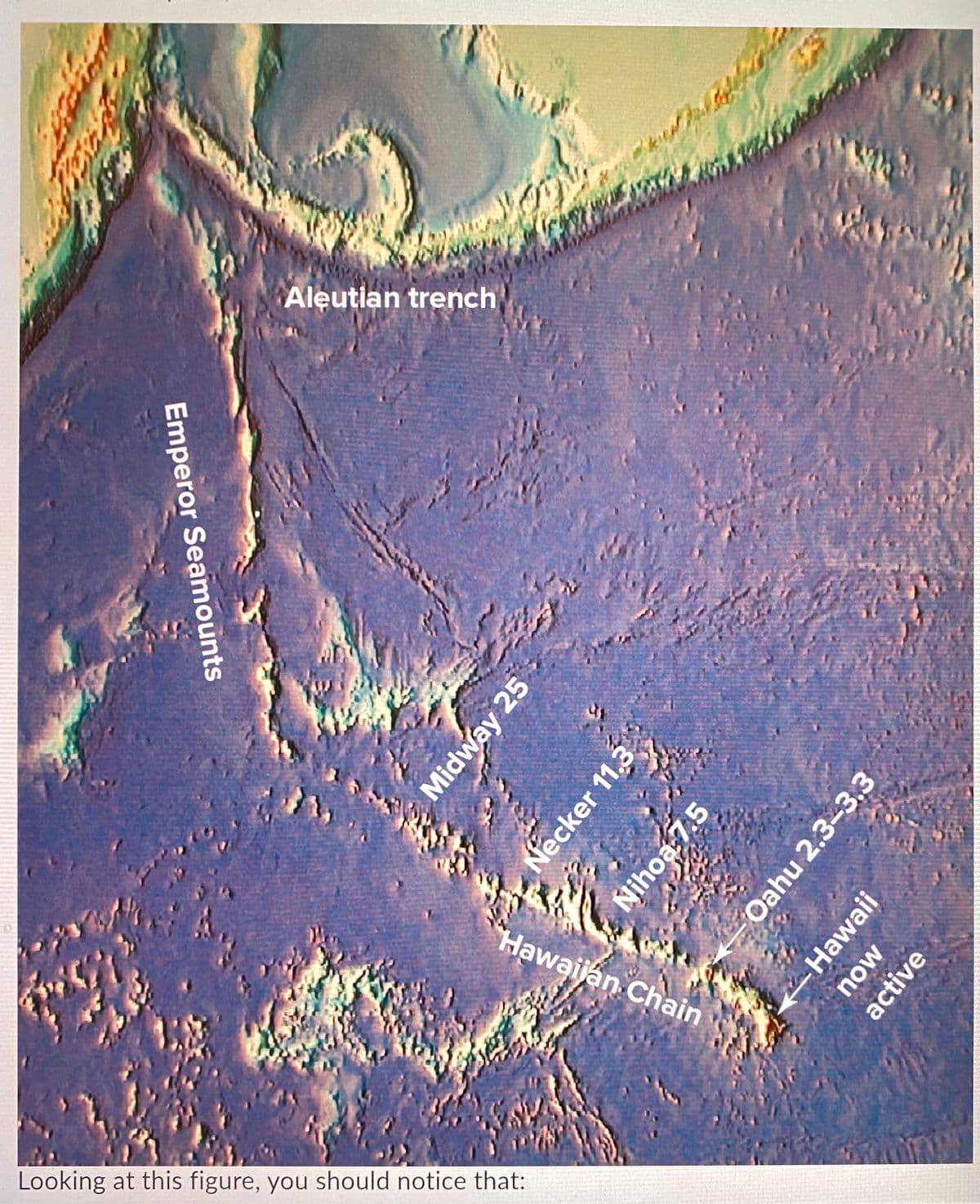 Aleutian
trench
Hawaijan Chain
should
notice that:
Looking
at
this figure, you
Emperor Seamounts
Midway 25
Necker 11.3
Nihoa 7.5
Oahu 2.3-3.3
Hawaii
now
active
