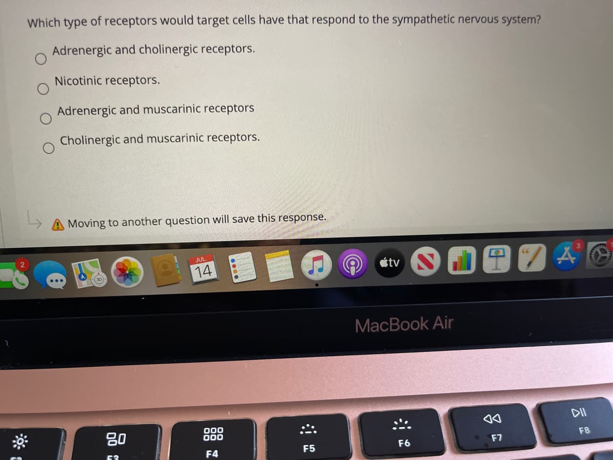 Which type of receptors would target cells have that respond to the sympathetic nervous system?
Adrenergic and cholinergic receptors.
Nicotinic receptors.
Adrenergic and muscarinic receptors
Cholinergic and muscarinic receptors.
Moving to another question will save this response.
14
étv
30
MacВook Air
DII
80
000
000
F8
F4
F5
F6
F7
53
