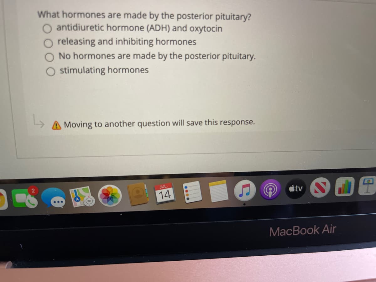 What hormones are made by the posterior pituitary?
O antidiuretic hormone (ADH) and oxytocin
releasing and inhibiting hormones
No hormones are made by the posterior pituitary.
stimulating hormones
A Moving to another question will save this response.
JUL.
14
étv
MacBook Air
