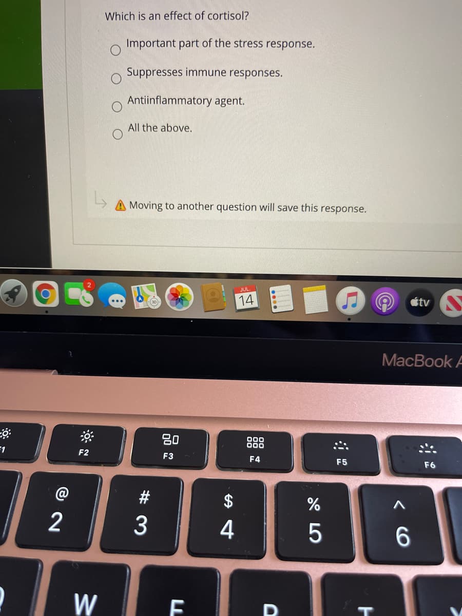 Which is an effect of cortisol?
Important part of the stress response.
Suppresses immune responses.
Antiinflammatory agent.
All the above.
Moving to another question will save this response.
14
étv
МacBook F
80
00
000
F1
F2
F3
F4
F5
F6
#
2$
2
3
6.
W
< CO
