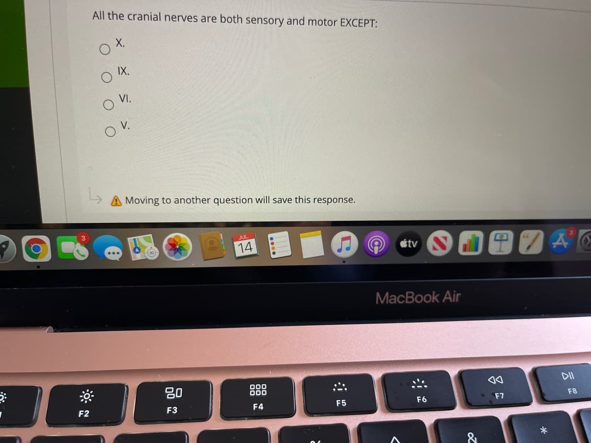 All the cranial nerves are both sensory and motor EXCEPT:
X.
IX.
VI.
OV.
A Moving to another question will save this response.
JUL
14
tv
66
МacВook Air
20
000
00
DII
F2
F3
F4
F5
F6
F8
F7
