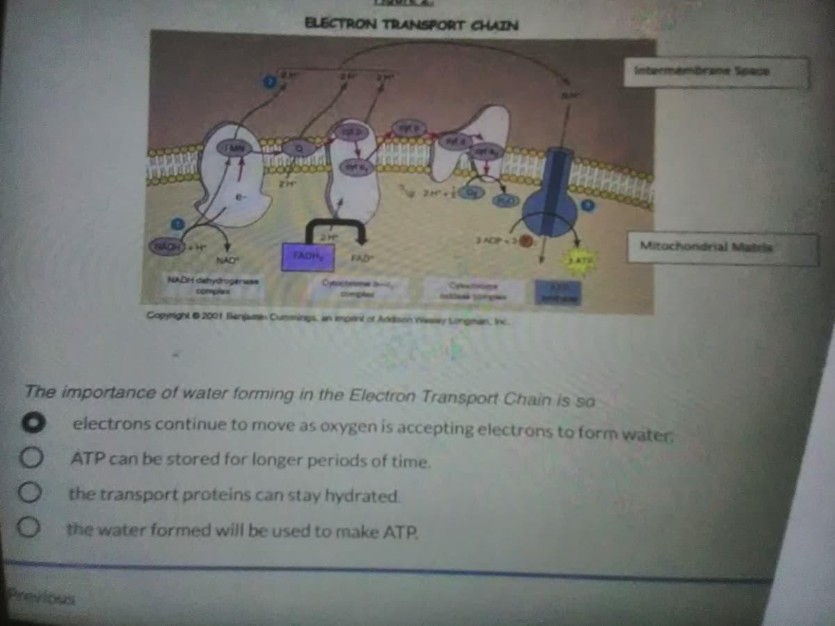 ELECTRON TRANSPORT CHAIN
intermembrane Space
TaN
3 ADP 3
NACH)
Mitochondrial Mabri
NAO
FADH
FAD
NADH dehydroganwse
Cych y
Op
complex
Copyright 2001 Benjamn Cummings an impnd of Addson v y Longman Inc.
The importance of water forming in the Electron Transport Chain is so
electrons continue to move as oxygen is accepting electrons to form water
ATP can be stored for longer periods of time.
the transport proteins can stay hydrated.
the water formed will be used to make ATP
Previous
