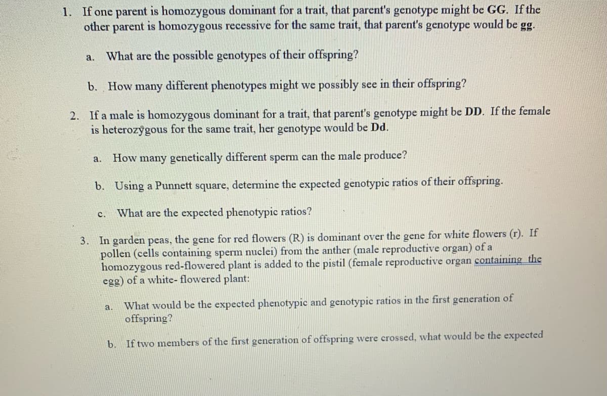 1. If one parent is homozygous dominant for a trait, that parent's genotype might be GG. If the
other parent is homozygous recessive for the same trait, that parent's genotype would be gg.
What are the possible genotypes of their offspring?
b. How many different phenotypes might we possibly see in their offspring?
2. If a male is homozygous dominant for a trait, that parent's genotype might be DD. If the female
is heterozygous for the same trait, her genotype would be Dd.
a. How many genetically different sperm can the male produce?
b. Using a Punnett square, determine the expected genotypic ratios of their offspring.
What are the expected phenotypic ratios?
3. In garden peas, the gene for red flowers (R) is dominant over the gene for white flowers (r). If
pollen (cells containing sperm nuclei) from the anther (male reproductive organ) of a
homozygous red-flowered plant is added to the pistil (female reproductive organ containing the
egg) of a white- flowered plant:
a.
c.
What would be the expected phenotypic and genotypic ratios in the first generation of
offspring?
b. If two members of the first generation of offspring were crossed, what would be the expected
a.