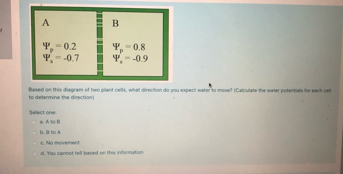 A
of
Y, = 0.2
Y, = -0.7
Y, = 0.8
Y, = -0.9
||
Based on this diagram of two plant cells, what direction do you expect water to move? (Calculate the water potentials for each cell
to determine the direction)
Select one:
O a. A to B
O b. B to A
O c. No movement
O d. You cannot tell based on this information
口
