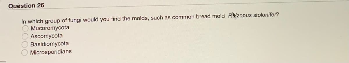 Question 26
In which group of fungi would you find the molds, such as common bread mold Rzopus stolonifer?
O Mucoromycota
Ascomycota
Basidiomycota
Microsporidians
