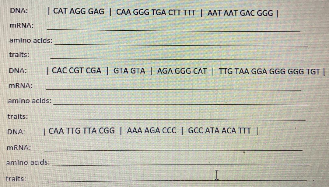 DNA:
| CAT AGG GAG | CAA GGG TGA CTT TTT | AAT AAT GAC GGG ||
MRNA:
amino acids:
traits:
DNA:
| CAC CGT CGA | GTA GTA | AGA GGG CAT | TTG TAA GGA GGG GGG TGT |
MRNA:
amino acids:
traits:
DNA:
| CAA TTG TTA CGG | AAA AGA CCC | GCC ATA ACA TTT |
MRNA:
amino acids:
traits:
