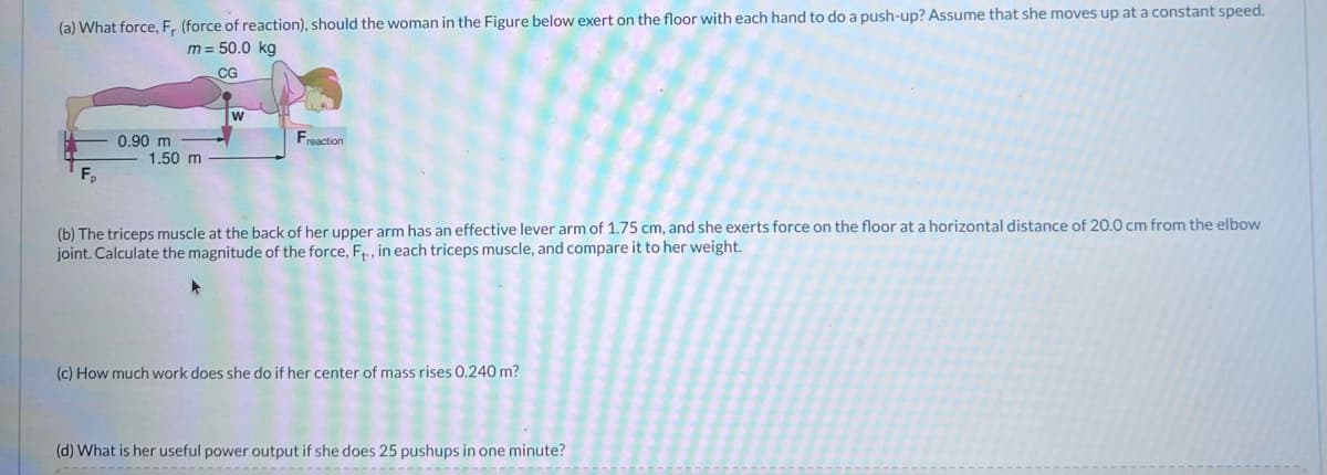 (a) What force, F, (force of reaction), should the woman in the Figure below exert on the floor with each hand to do a push-up? Assume that she moves up at a constant speed.
m = 50.0 kg
CG
Fp
0.90 m
1.50 m
W
Freaction
(b) The triceps muscle at the back of her upper arm has an effective lever arm of 1.75 cm, and she exerts force on the floor at a horizontal distance of 20.0 cm from the elbow
joint. Calculate the magnitude of the force, F., in each triceps muscle, and compare it to her weight.
(c) How much work does she do if her center of mass rises 0.240 m?
(d) What is her useful power output if she does 25 pushups in one minute?