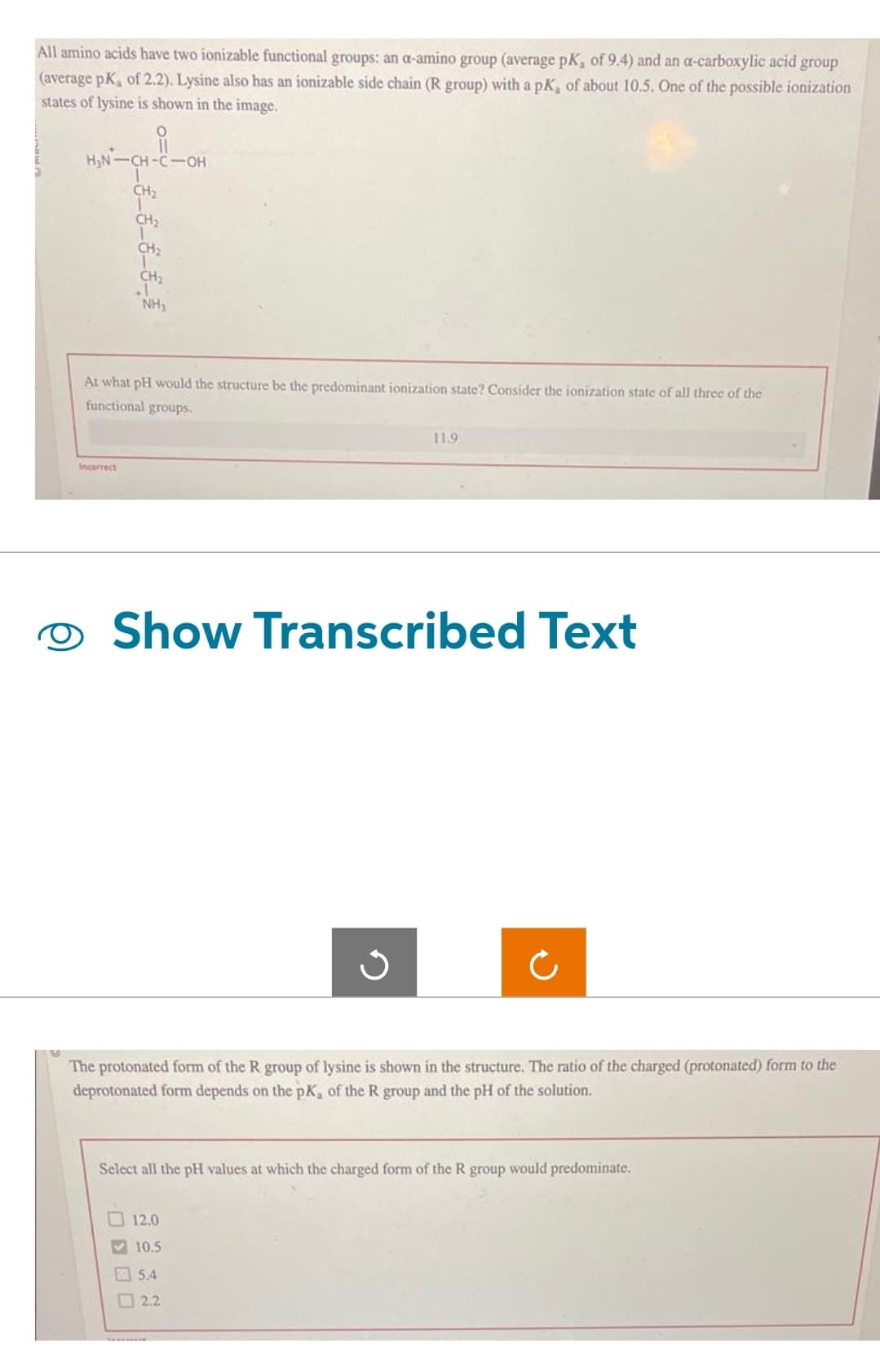 All amino acids have two ionizable functional groups: an a-amino group (average pK, of 9.4) and an a-carboxylic acid group
(average pK, of 2.2). Lysine also has an ionizable side chain (R group) with a pK, of about 10.5. One of the possible ionization
states of lysine is shown in the image.
i
H₂N-CH-C-OH
CH₂
1
Incorrect
CH₂
CH₂
CH₂
NH₂
At what pH would the structure be the predominant ionization state? Consider the ionization state of all three of the
functional groups.
Show Transcribed Text
11.9
S
The protonated form of the R group of lysine is shown in the structure. The ratio of the charged (protonated) form to the
deprotonated form depends on the pK, of the R group and the pH of the solution.
12.0
10.5
5.4
Select all the pH values at which the charged form of the R group would predominate.
2.2