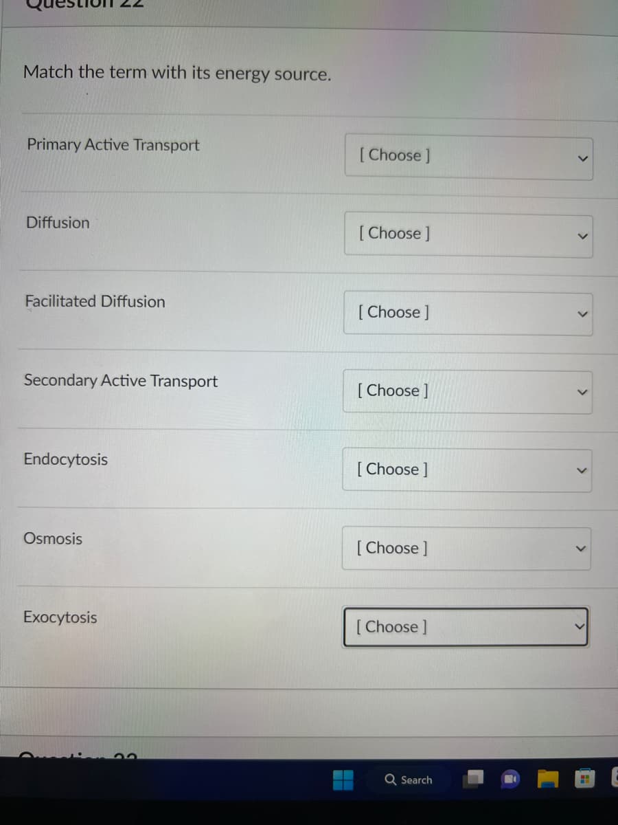 Match the term with its energy source.
Primary Active Transport
Diffusion
Facilitated Diffusion
Secondary Active Transport
Endocytosis
Osmosis
Exocytosis
[Choose ]
[Choose ]
[Choose ]
[Choose ]
[Choose ]
[Choose ]
[Choose ]
Q Search