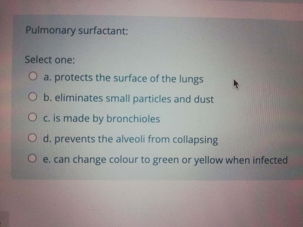 Pulmonary surfactant:
Select one:
O a. protects the surface of the lungs
O b. eliminates small particles and dust
Oc. is made by bronchioles
O d. prevents the alveoli from collapsing
O e. can change colour to green or yellow when infected
