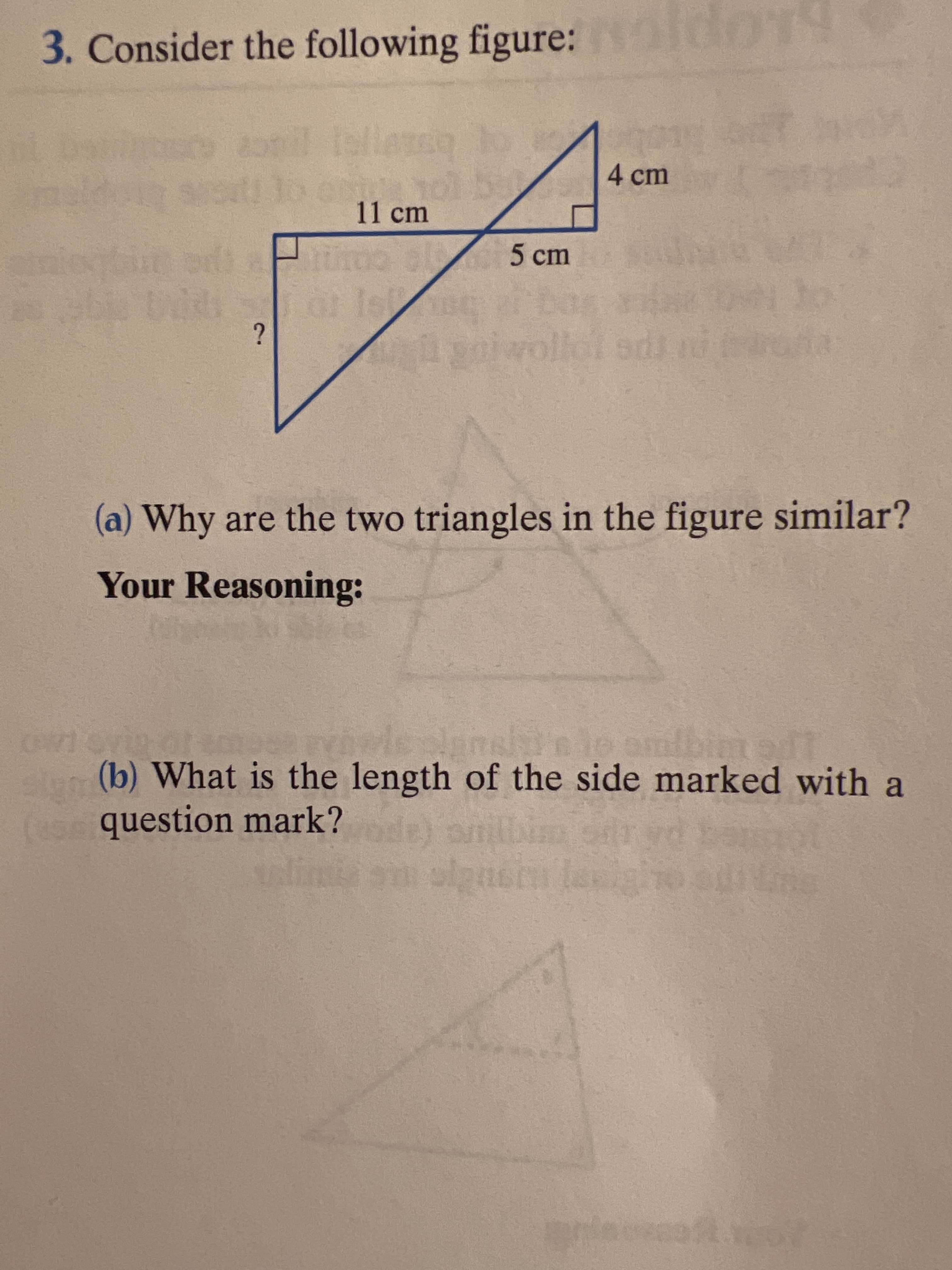 3. Consider the following figure:
4cm
11cm
ba
ollot sd
(a) Why are the two triangles in the figure similar?
Your Reasoning:
(b) What is the length of the side marked with a
(es question mark? ol
r (apor
