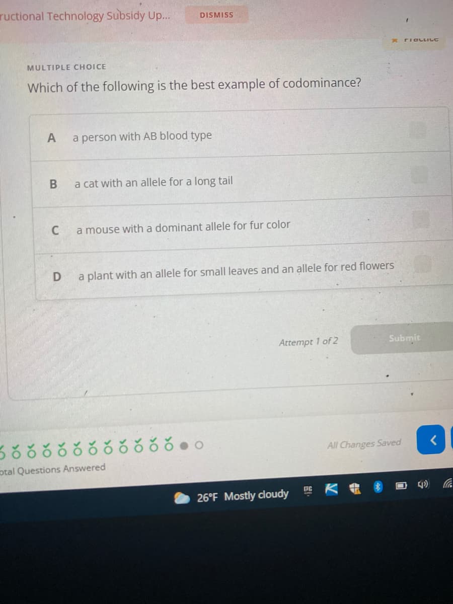 ructional Technology Subsidy Up..
DISMISS
riaLLILC
MULTIPLE CHOICE
Which of the following is the best example of codominance?
a person with AB blood type
a cat with an allele for a long tail
a mouse with a dominant allele for fur color
a plant with an allele for small leaves and an allele for red flowers
Attempt 1 of 2
Submit
ర ర ర ర
All Changes Saved
otal Questions Answered
26°F Mostly cloudy
