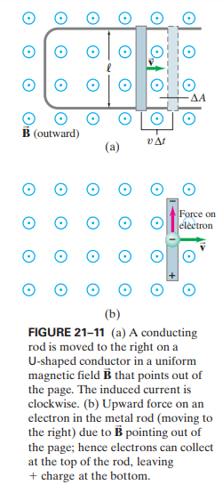 AA
B (outward)
(a)
Force on
eléctron
(b)
FIGURE 21-11 (a) A conducting
rod is moved to the right on a
U-shaped conductor in a uniform
magnetic field B that points out of
the page. The induced current is
clockwise. (b) Upward force on an
electron in the metal rod (moving to
the right) due to B pointing out of
the page; hence electrons can collect
at the top of the rod, leaving
+ charge at the bottom.
