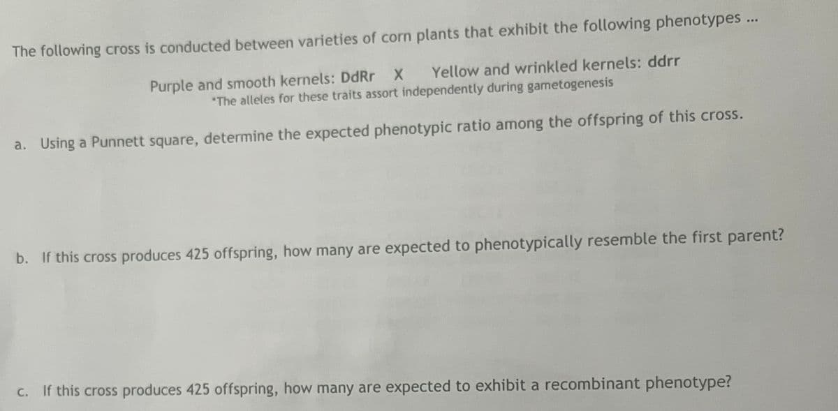 The following cross is conducted between varieties of corn plants that exhibit the following phenotypes ...
X Yellow and wrinkled kernels: ddrr
Purple and smooth kernels: DdRr
*The alleles for these traits assort independently during gametogenesis
a. Using a Punnett square, determine the expected phenotypic ratio among the offspring of this cross.
b. If this cross produces 425 offspring, how many are expected to phenotypically resemble the first parent?
c. If this cross produces 425 offspring, how many are expected to exhibit a recombinant phenotype?