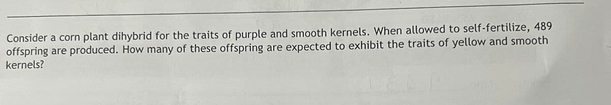 Consider a corn plant dihybrid for the traits of purple and smooth kernels. When allowed to self-fertilize, 489
offspring are produced. How many of these offspring are expected to exhibit the traits of yellow and smooth
kernels?