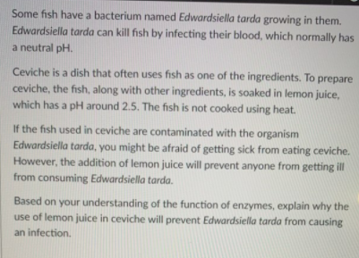 Some fish have a bacterium named Edwardsiella tarda growing in them.
Edwardsiella tarda can kill fish by infecting their blood, which normally has
a neutral pH.
Ceviche is a dish that often uses fish as one of the ingredients. To prepare
ceviche, the fish, along with other ingredients, is soaked in lemon juice,
which has a pH around 2.5. The fish is not cooked using heat.
If the fish used in ceviche are contaminated with the organism
Edwardsiella tarda, you might be afraid of getting sick from eating ceviche.
However, the addition of lemon juice will prevent anyone from getting ill
from consuming Edwardsiella tarda.
Based on your understanding of the function of enzymes, explain why the
use of lemon juice in ceviche will prevent Edwardsiella tarda from causing
an infection,
