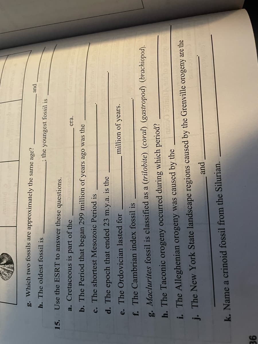 anamud
g. Which two fossils are approximately the same age?
h. The oldest fossil is
; the youngest fossil is
15.
Use the ESRT to answer these questions.
and
36
a. Cretaceous is part of the
b. The Period that began 299 million of years ago was the
c. The shortest Mesozoic Period is
d. The epoch that ended 23 m.y.a. is the
e. The Ordovician lasted for
f. The Cambrian index fossil is
era.
million of years.
g. Maclurites fossil is classified as a (trilobite) (coral) (gastropod) (brachiopod).
h. The Taconic orogeny occurred during which period?
i. The Alleghenian orogeny was caused by the
j. The New York State landscape regions caused by the Grenville orogeny are the
and
k. Name a crinoid fossil from the Silurian.
