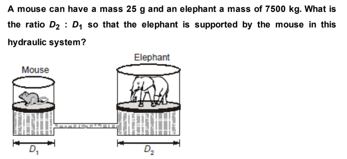 A mouse can have a mass 25 g and an elephant a mass of 7500 kg. What is
the ratio D2 : D1 so that the elephant is supported by the mouse in this
hydraulic system?
Elephant
Mouse
D,
D2
