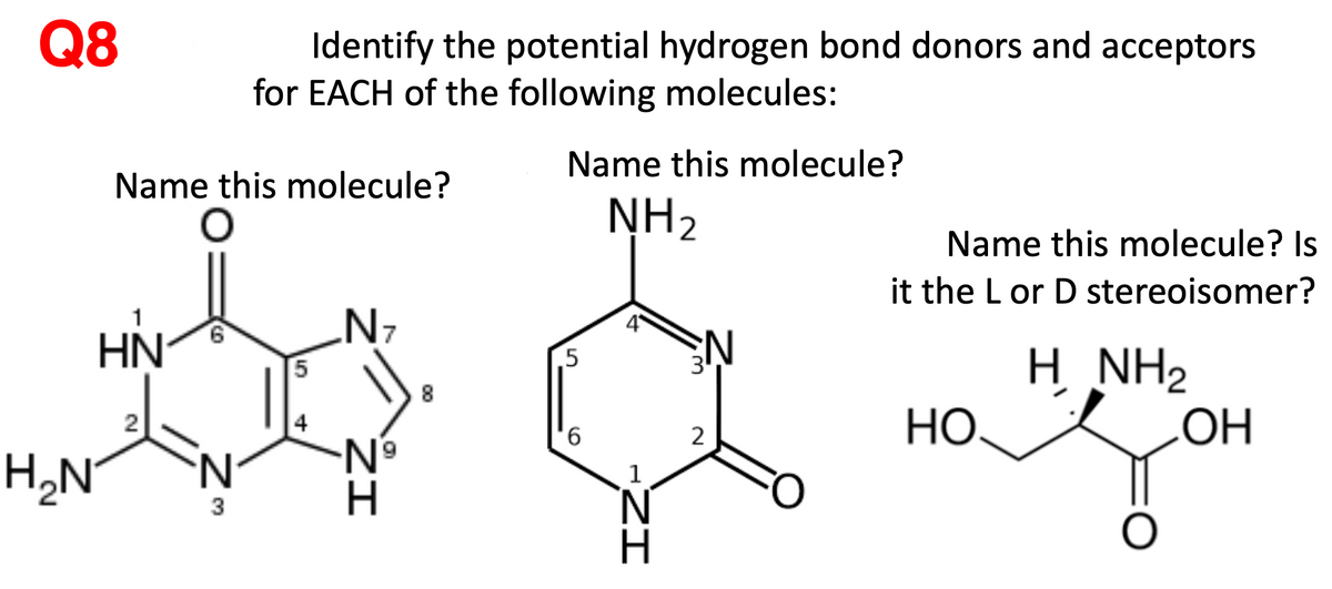 Q8
Identify the potential hydrogen bond donors and acceptors
for EACH of the following molecules:
Name this molecule?
Name this molecule?
NH,
Name this molecule? Is
it the Lor D stereoisomer?
N7
HN
H NH2
.5
6.
HO.
LOH
2
H,N°
N.
3
N.
00
69
ZI
5.
6.
